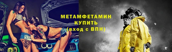 прущие грибы Нестеровская