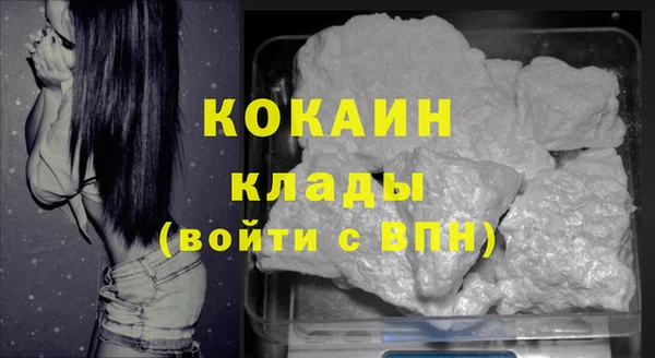 прущие грибы Нестеровская