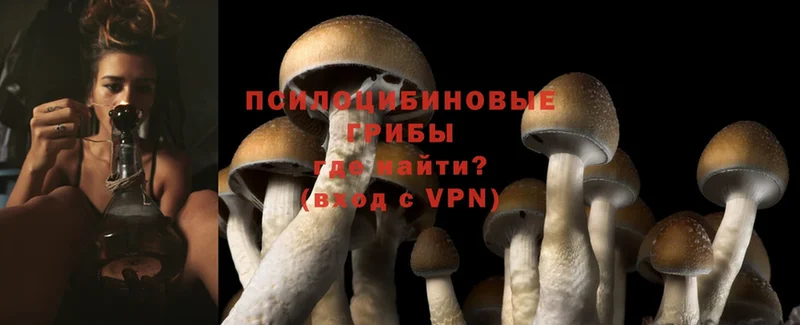 цены наркотик  Александровск  Галлюциногенные грибы MAGIC MUSHROOMS 